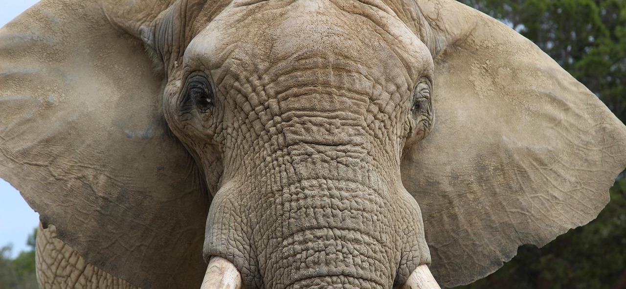 トップイメージ